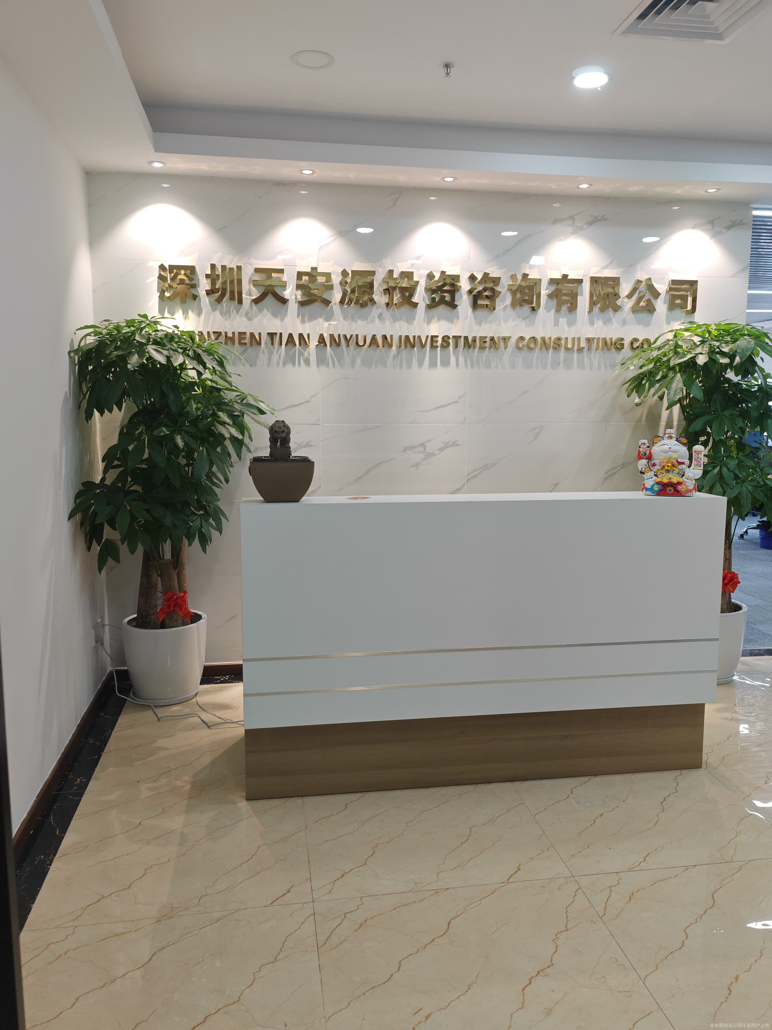 深圳天安源投资咨询 专业引领，赋能企业投资决策